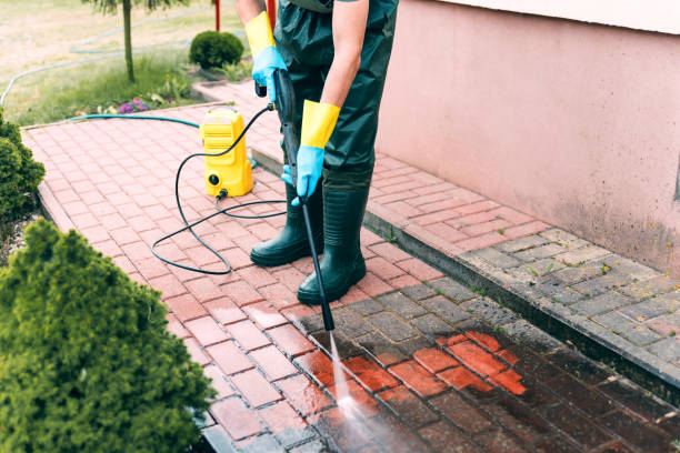 Best Sidewalk and Walkway Cleaning  in Geneseo, IL